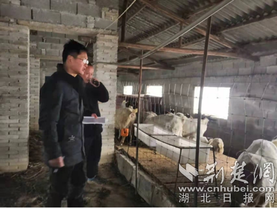 市水利與湖泊局駐陳貴鎮(zhèn)江添受村工作隊在脫貧戶方周海山羊養(yǎng)殖點.jpg