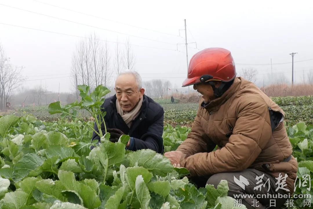 微信圖片_20220129141412.jpg