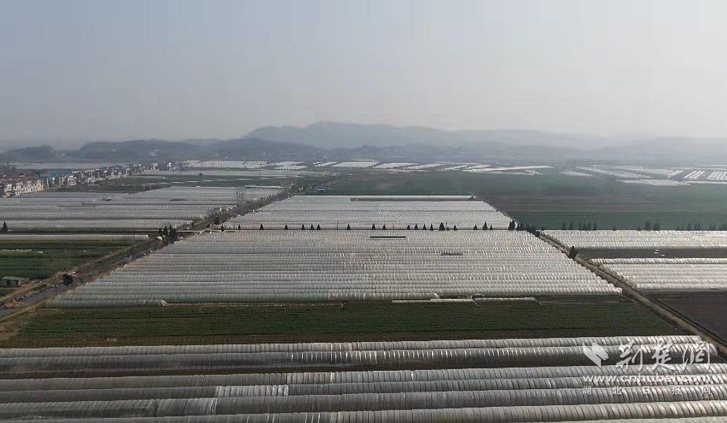 微信圖片_20220304154822.jpg