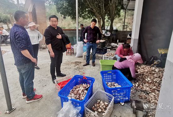 微信圖片_20220316185530_副本.jpg