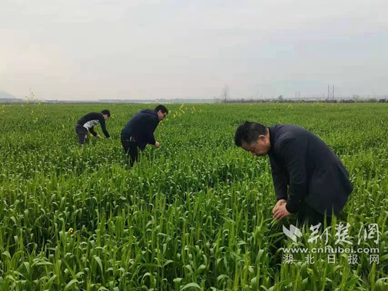 微信圖片_20220401174154.jpg