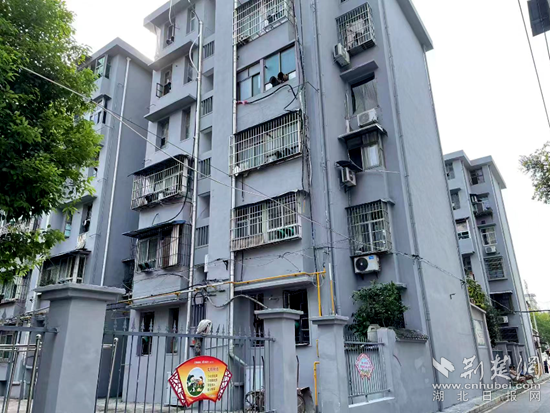 微信圖片_20220729104736.png.png