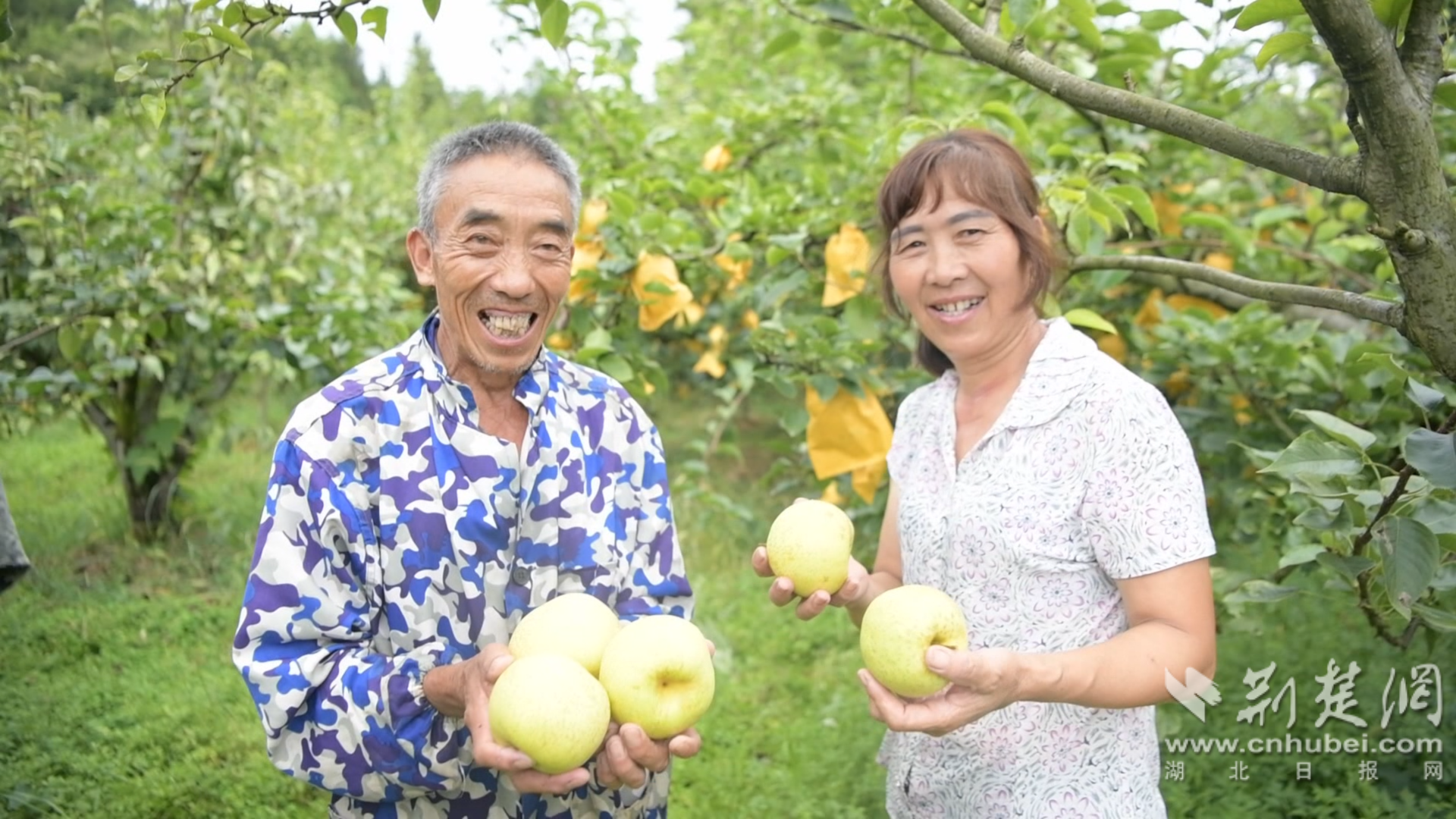 向利雄供圖2.png.png