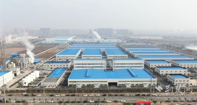 園區(qū)企業(yè)。記者 魯偉龍 攝.webp.jpg