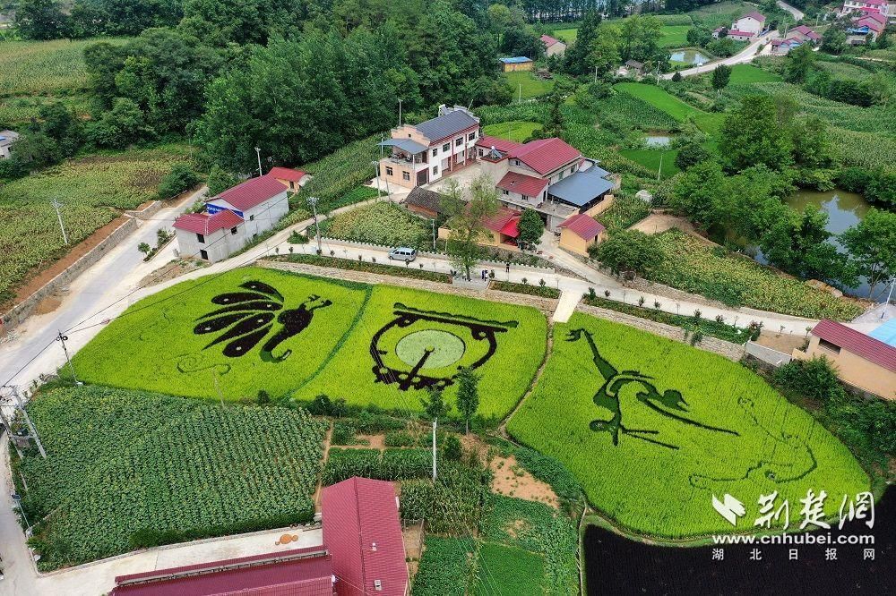 西坪村.jpg.jpg