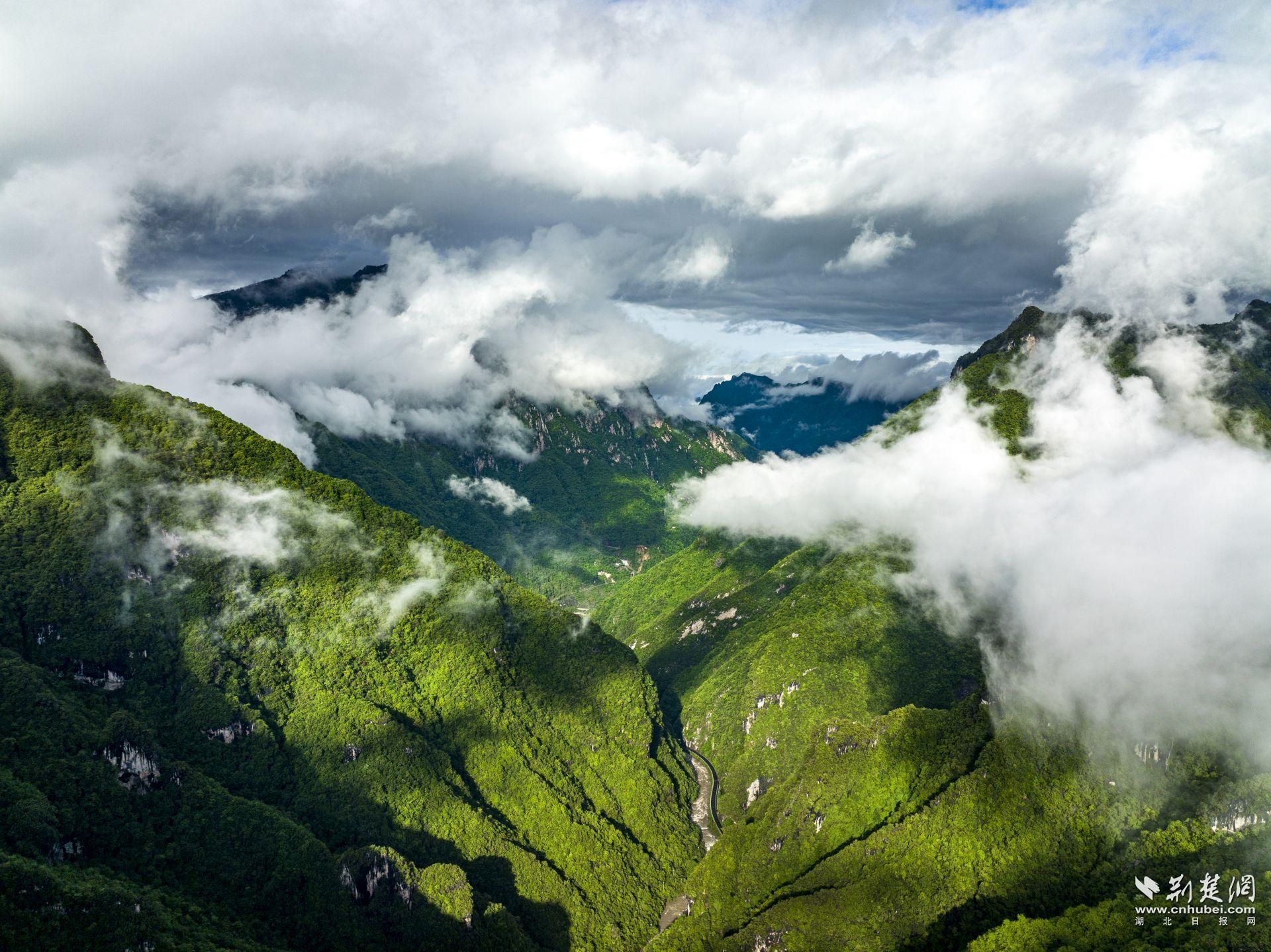 萬朝山保護區(qū)風(fēng)景如畫.jpg.jpg