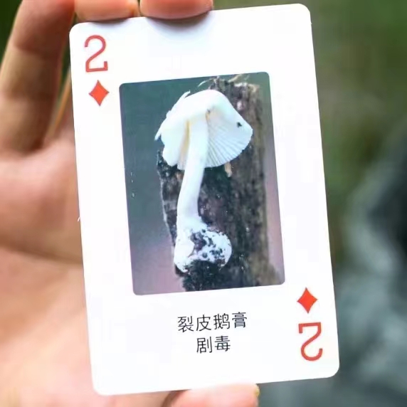 微信圖片_20230101100249.jpg