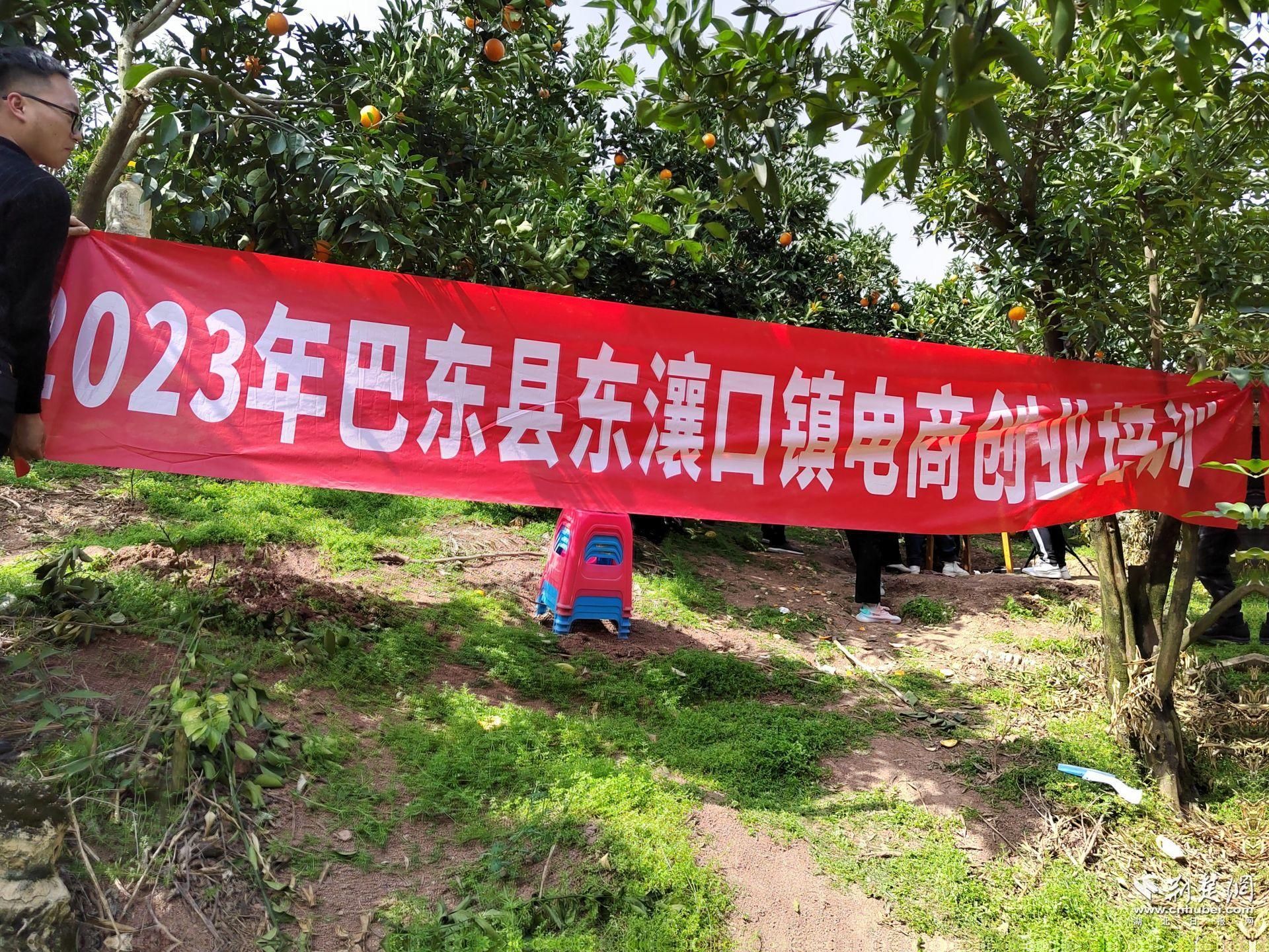 微信圖片_20230401090805.jpg.jpg