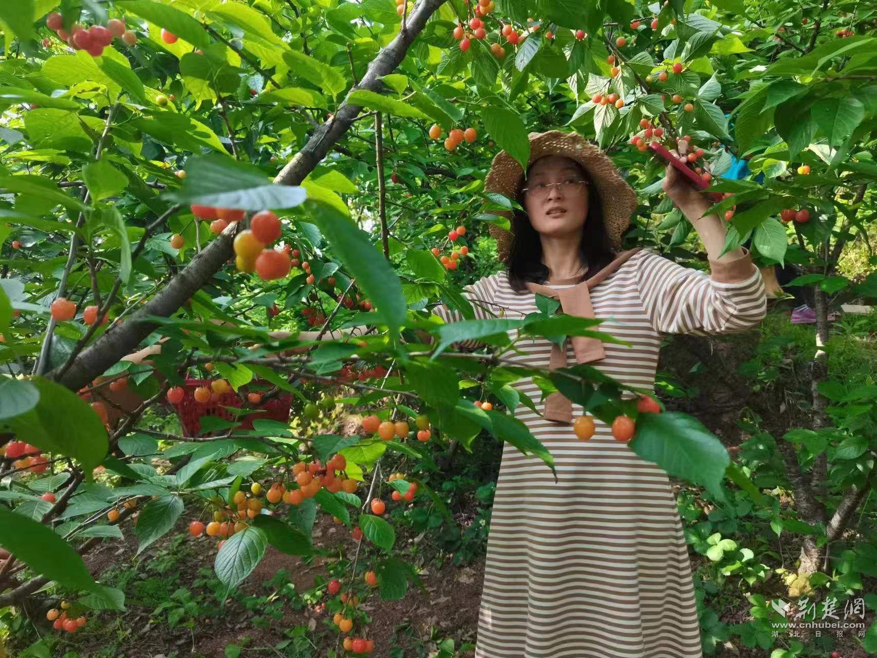 微信圖片_20230421191839.jpg.jpg