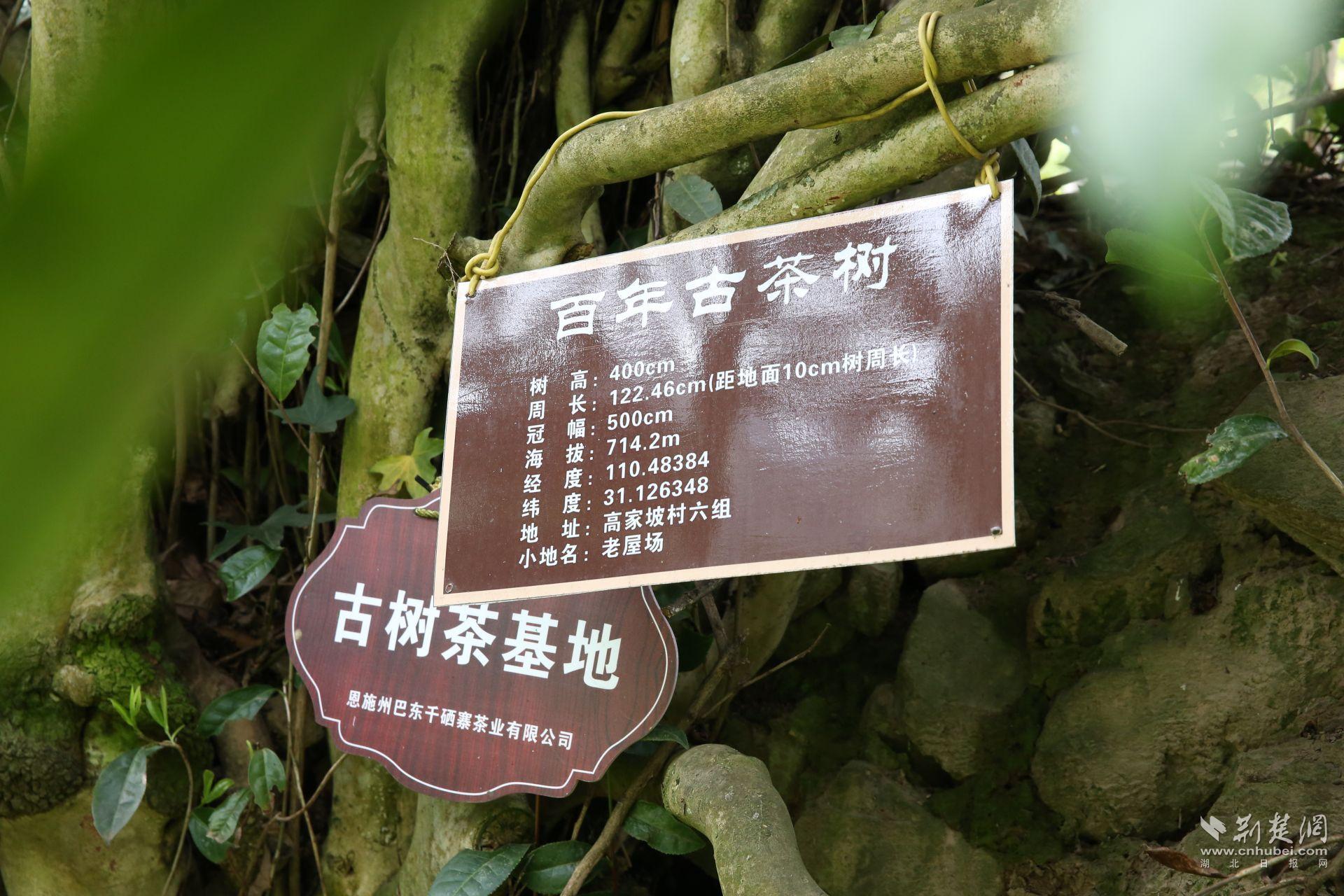 微信圖片_20230413134327.jpg.jpg