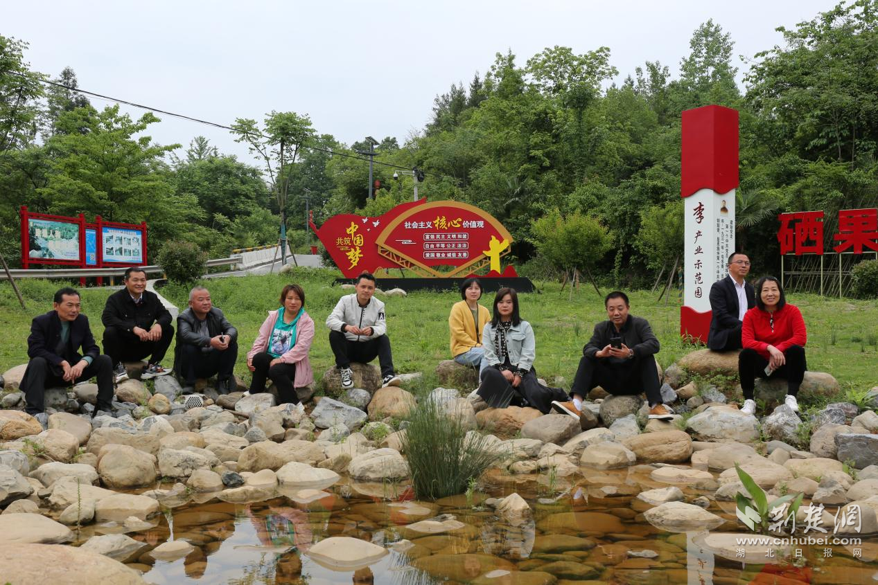游客打卡樂樂家壩.png.png
