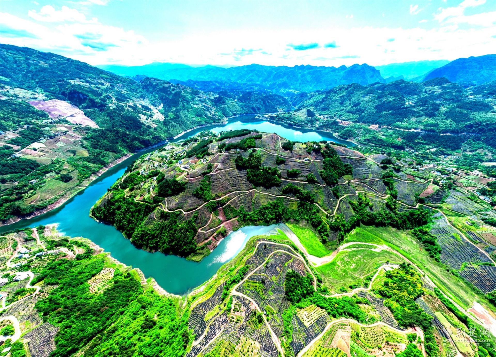 沿渡河退耕還林提質(zhì)增效——柑橘基地.jpg.jpg