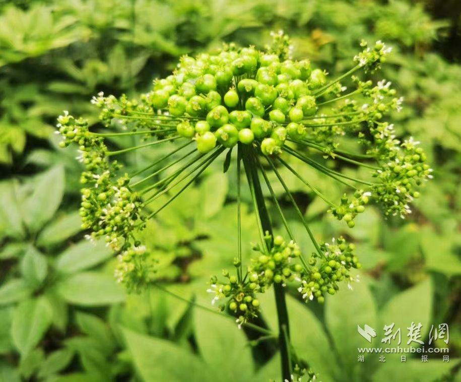 微信圖片_20230626123418.jpg.jpg