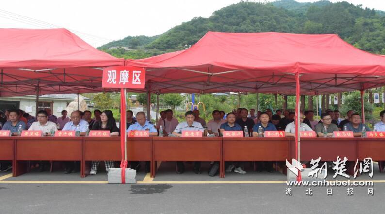 QQ截圖20230721160334.jpg