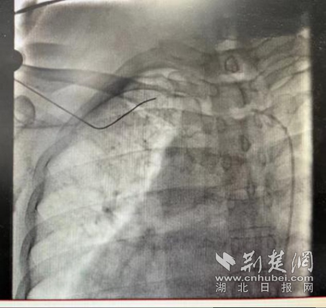 圖片 3.jpg