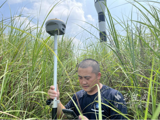圖片 5.png.png