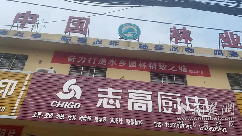 圖片 2.jpg