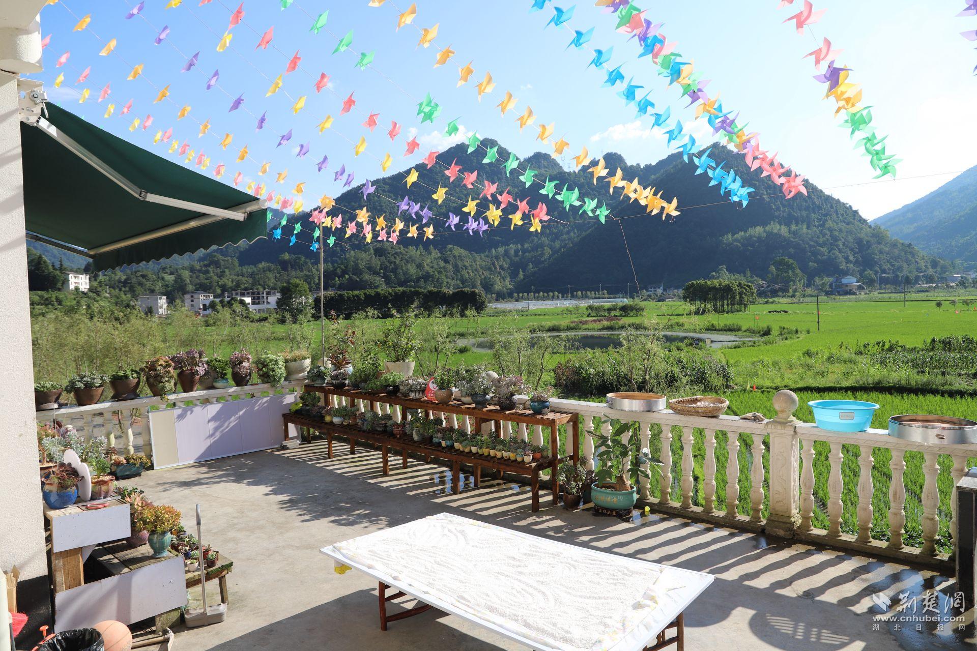 觀塘小院一景.JPG.JPG