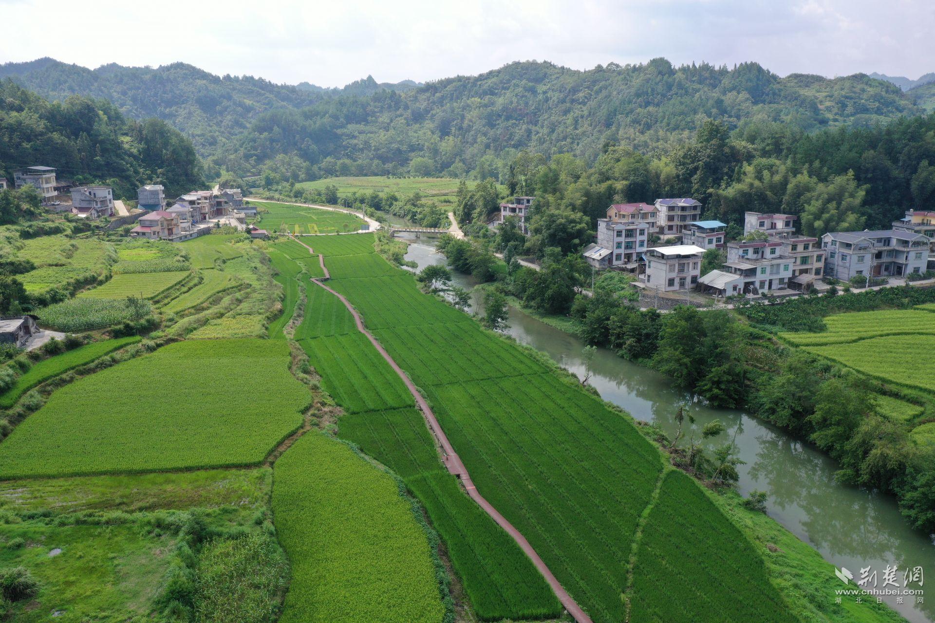DJI_0942.JPG.JPG