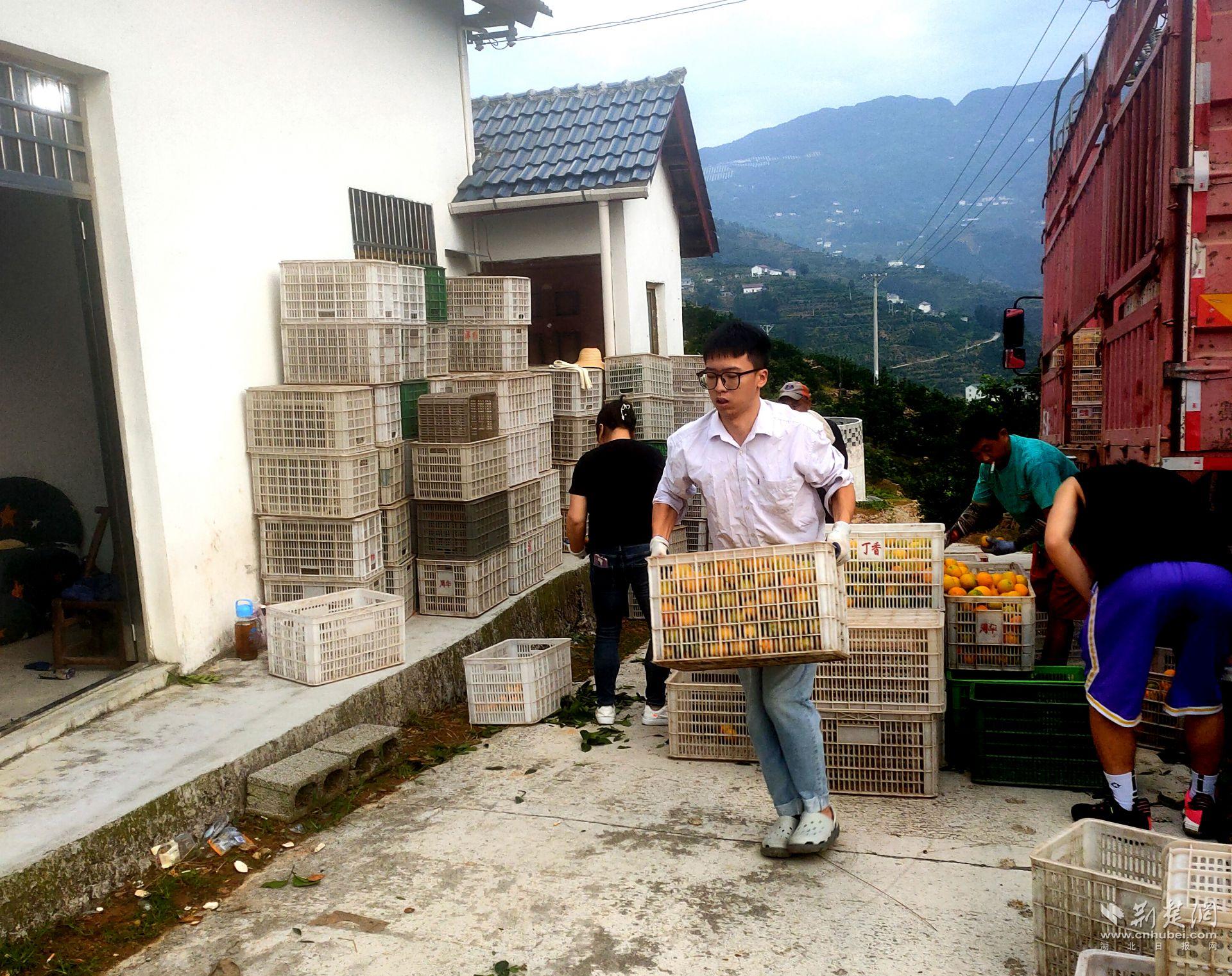 和橘農(nóng)一起遴選晚熟臍橙.jpg.jpg