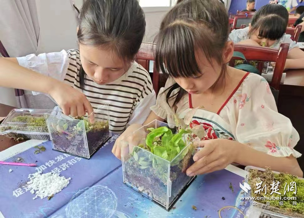 植物微景觀課程.png.png