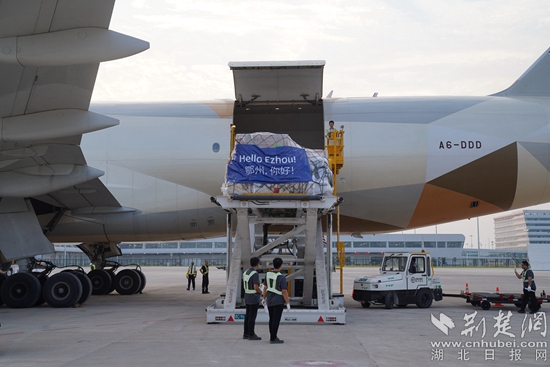 機(jī)務(wù)人員卸下貨物。金康 攝.jpeg