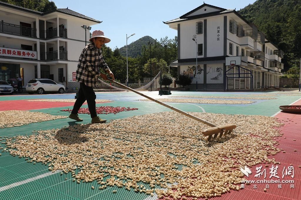 微信圖片_20230901124215_1.jpg.jpg