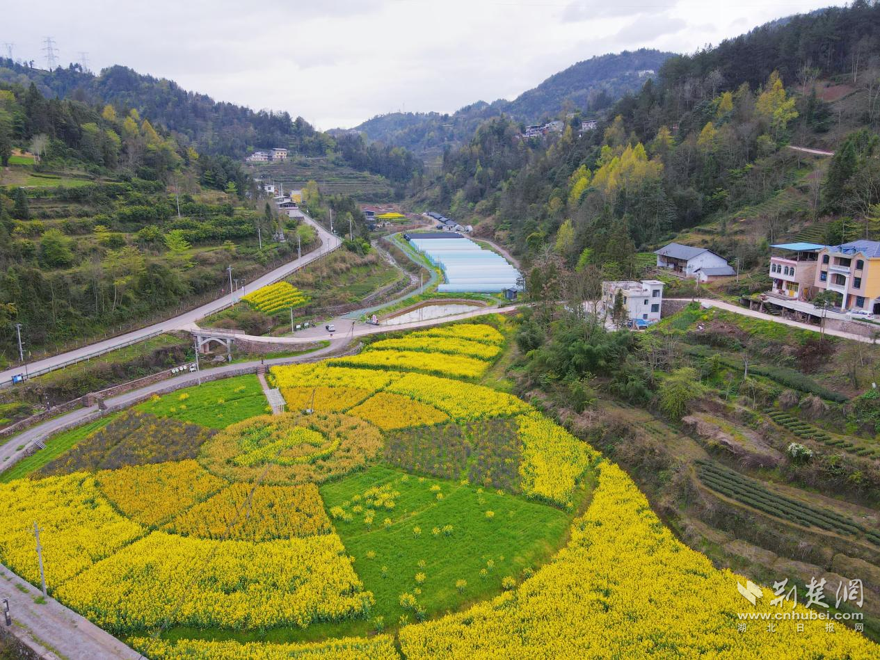 向家村村產業(yè)園.png.png