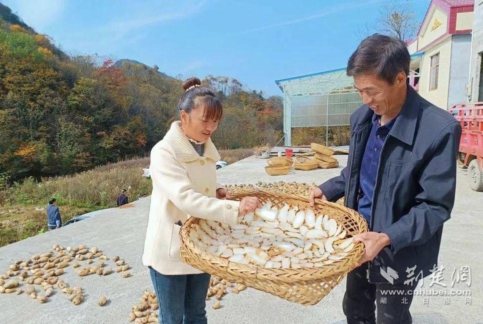微信圖片_20231114200728.jpg.jpg