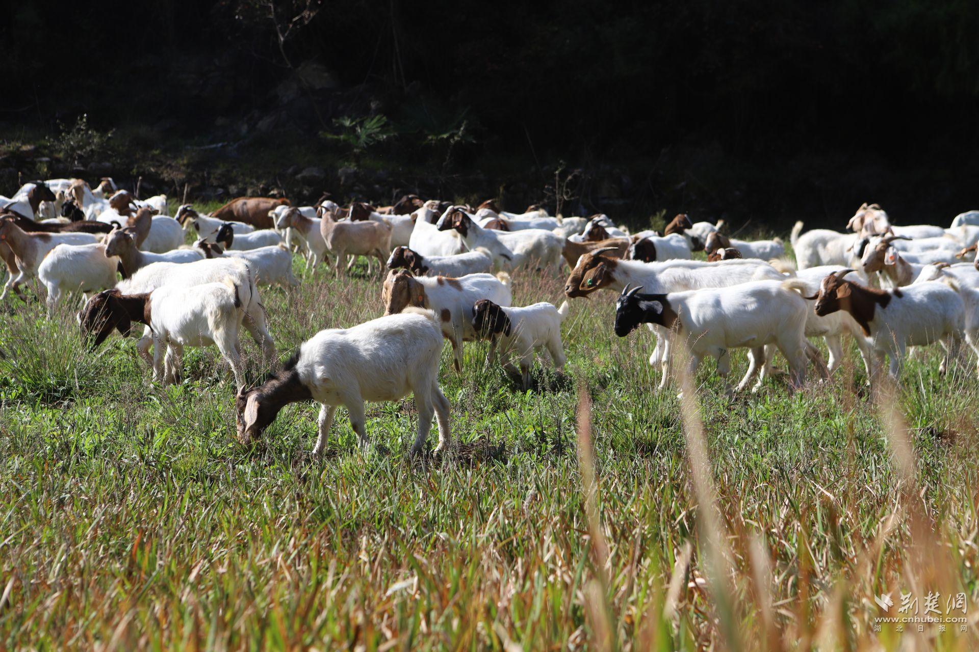 IMG_0126.JPG.JPG