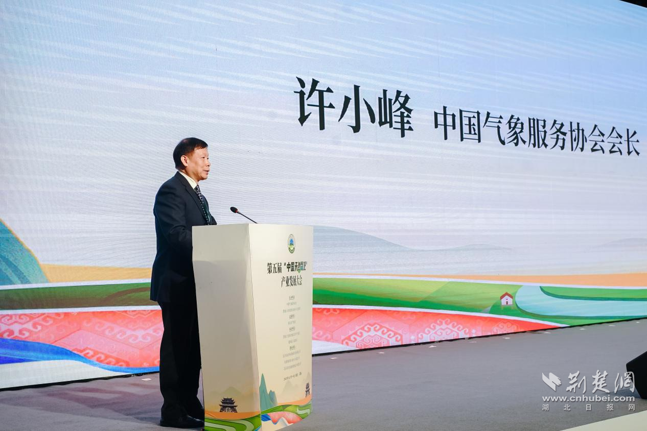 許小峰.png.png