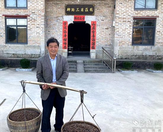 何道關(guān)與自己種的油茶果。黃錚 攝_副本.jpg.jpg