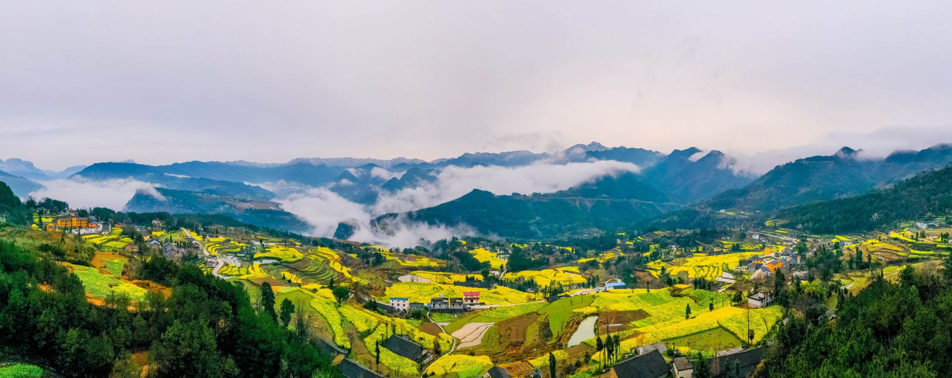 牛洞坪村 譚德魁 攝.jpg.jpg