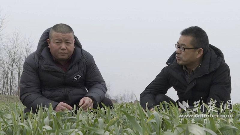 微信圖片_20240305105651.jpg