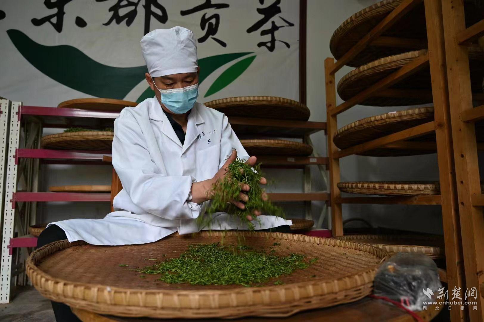 微信圖片_20240411193031.jpg.jpg