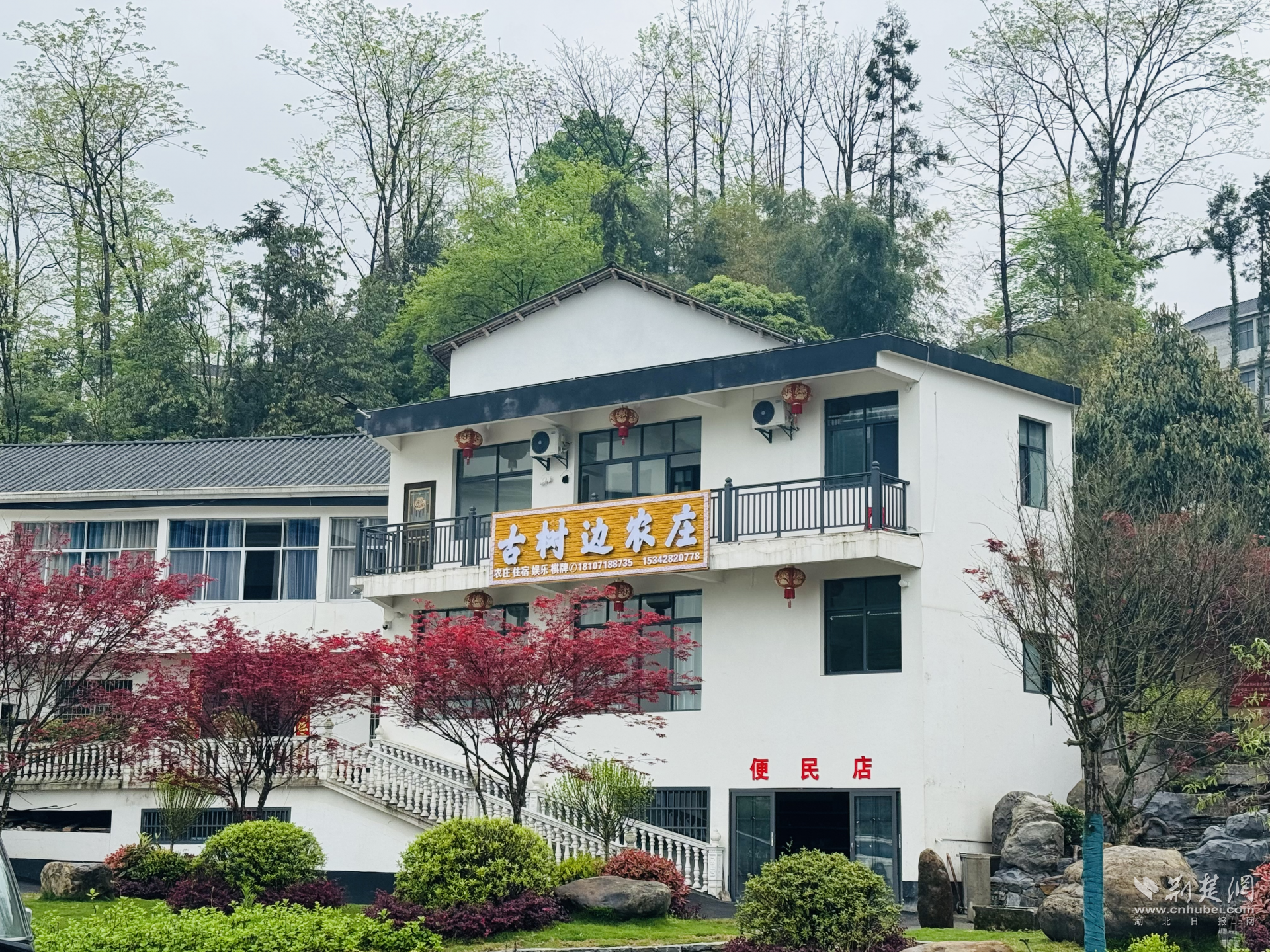 村民將農(nóng)家小院打造成民宿.png.png