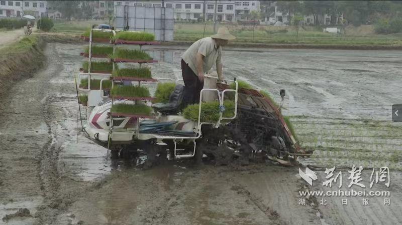 微信圖片_20240417161043.jpg.jpg