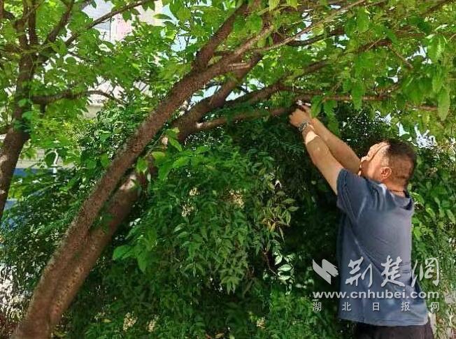 QQ截圖20240522171401.jpg