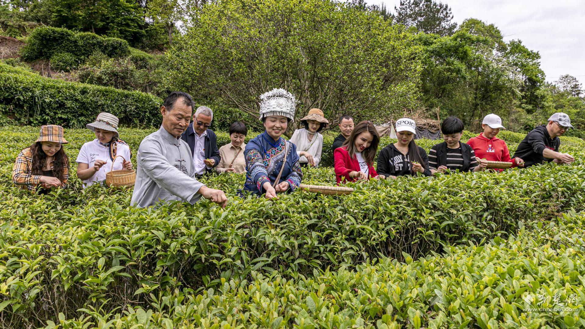 微信圖片_20240501223145.jpg.jpg