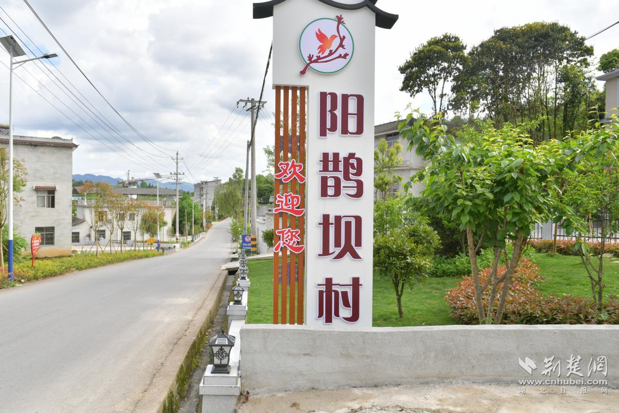 “鐘靈毓秀、詩意陽鵲”一角.png.png