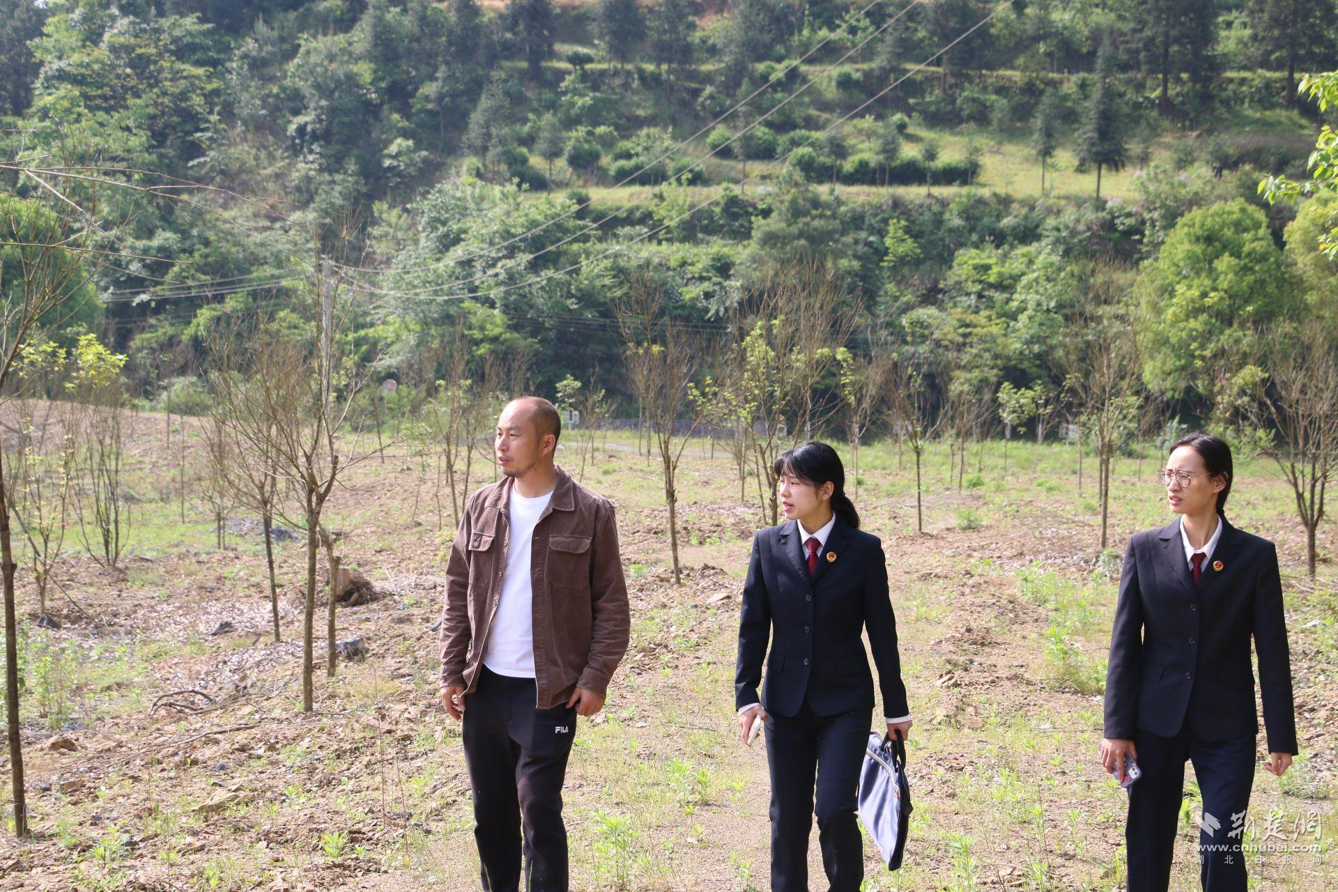 5月14日，檢察官前往“沙子坡”棄土場查看補植復綠成活情況。.jpg.jpg