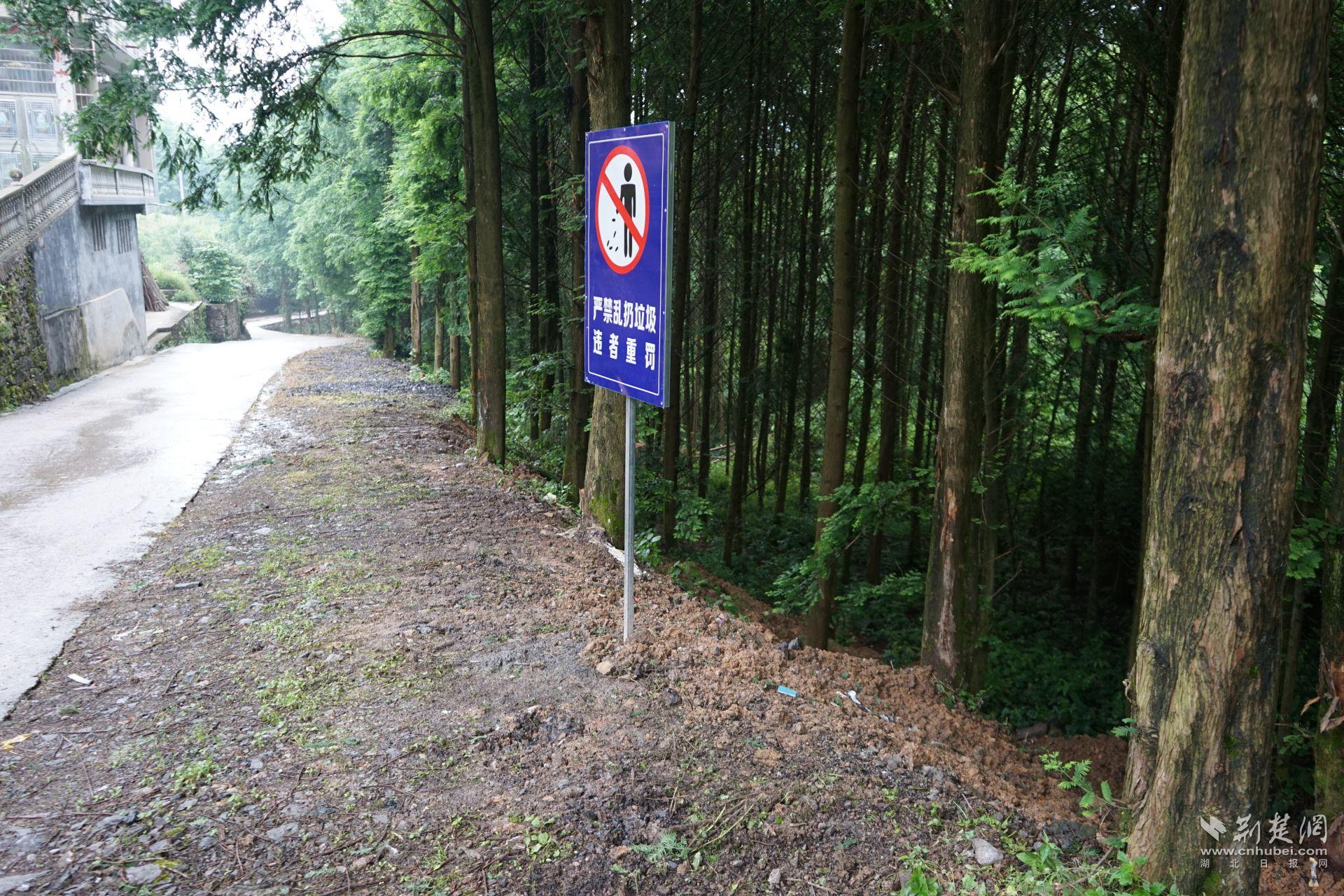部分農(nóng)村公路沿線垃圾污染整改后，生活垃圾已被清理干凈，并設置了“警示牌”。.jpg.jpg
