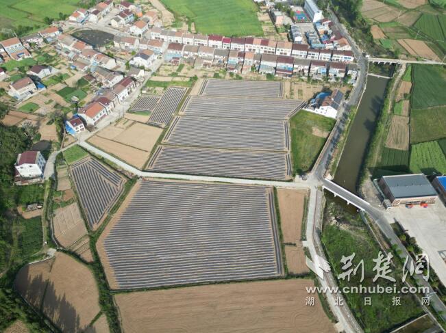 QQ截圖20240704105243.jpg
