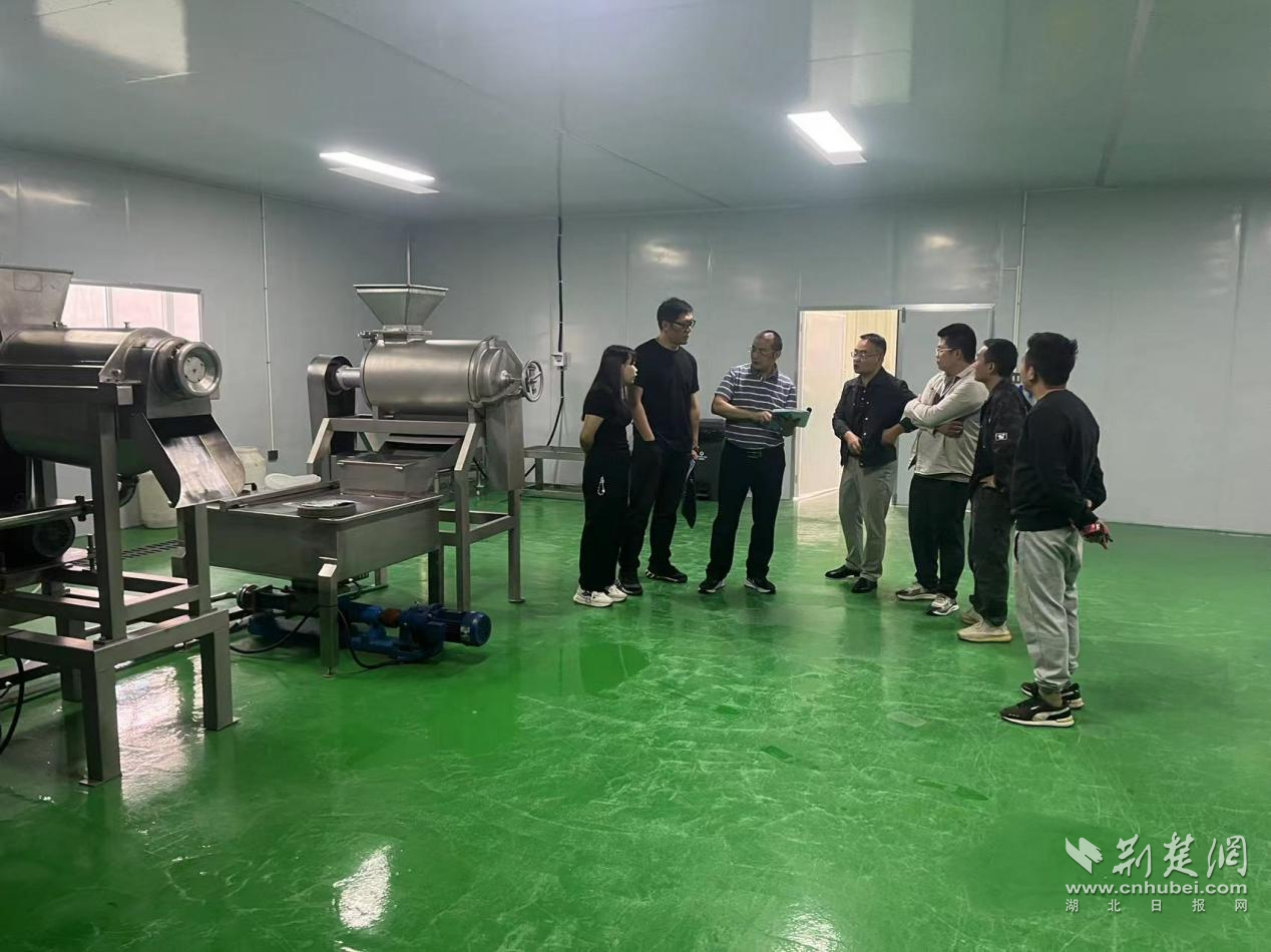 審計人員查看李家河鎮(zhèn)白柚深加工車間建設項目.png.png