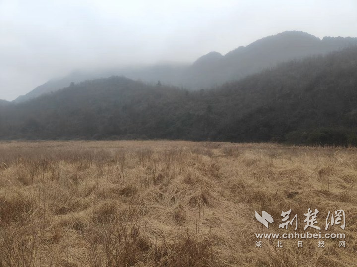 鶴峰自規(guī)局2.png.png