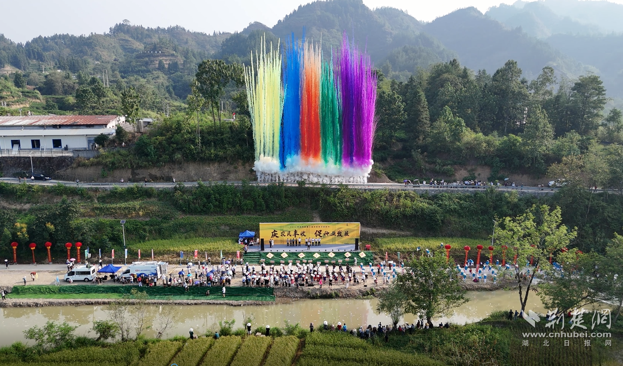 圖片2.png.png