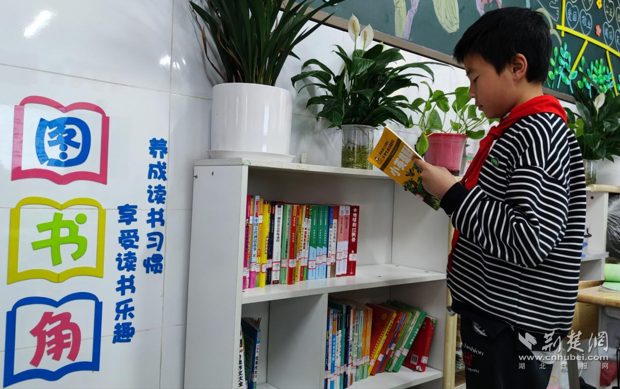 旗峰小學(xué)2.png.png