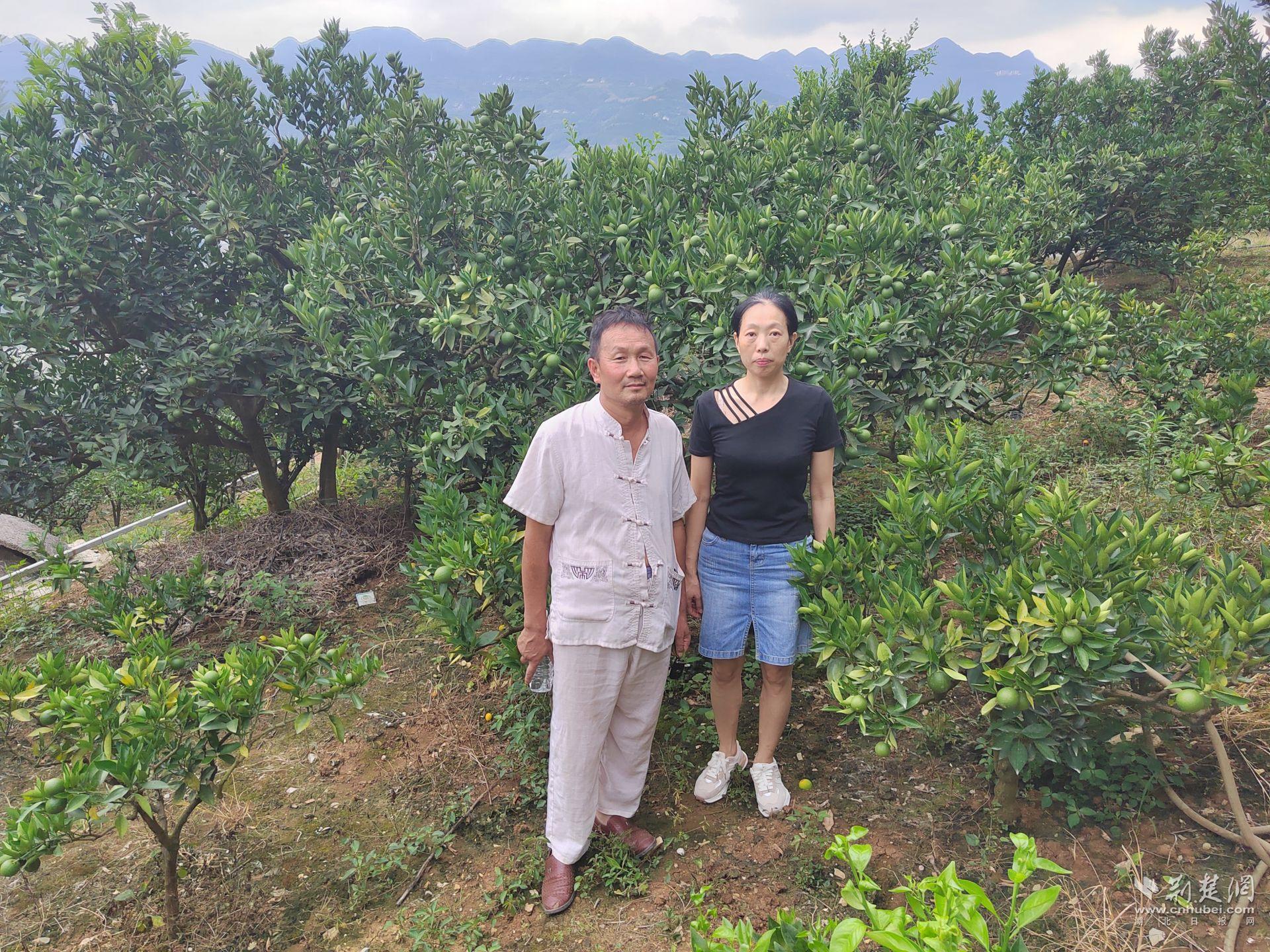 零工驛站工作人員入戶考察柑橘園.jpg.jpg