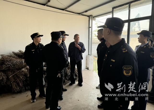 QQ截圖20241112104959.jpg
