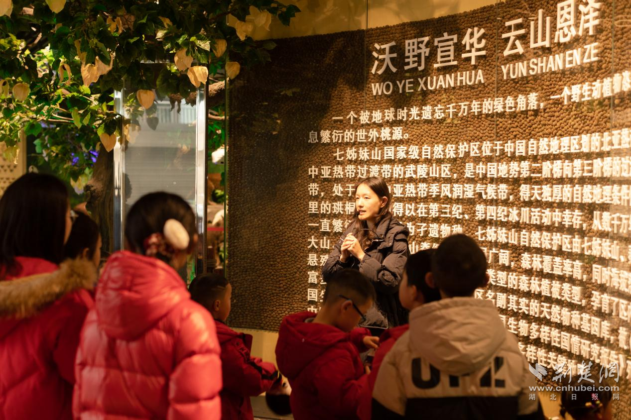宣恩法院1.png.png